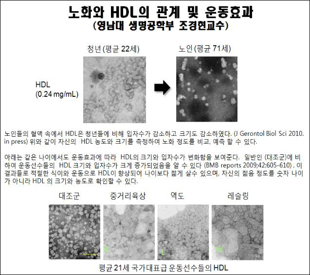 조경현 교수와 신동구 교수 공동연구, 혈액추출 노화진단법 ‘최초’ 개발